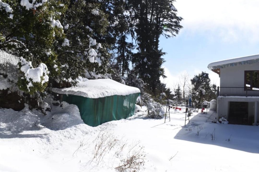 Photo of Others in Mallital