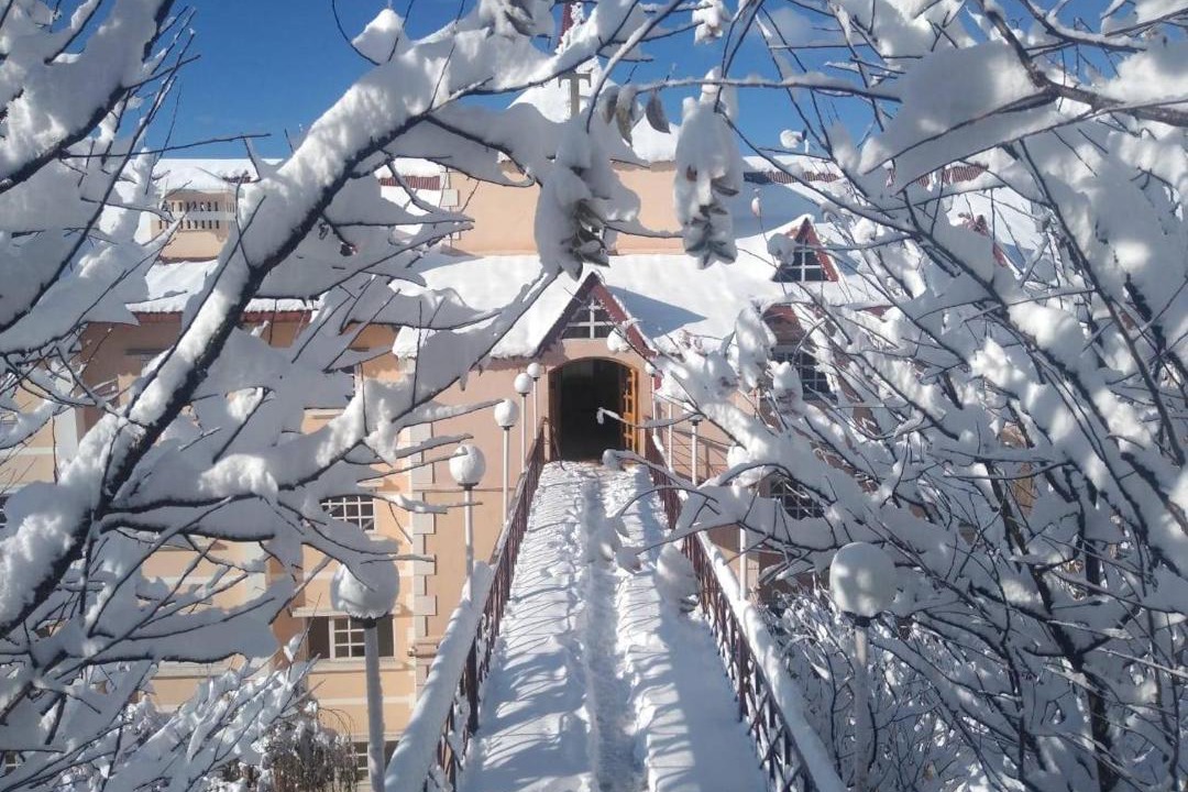 Photo of Others in Shimla