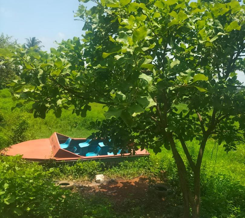 Photo of Others in Anjuna