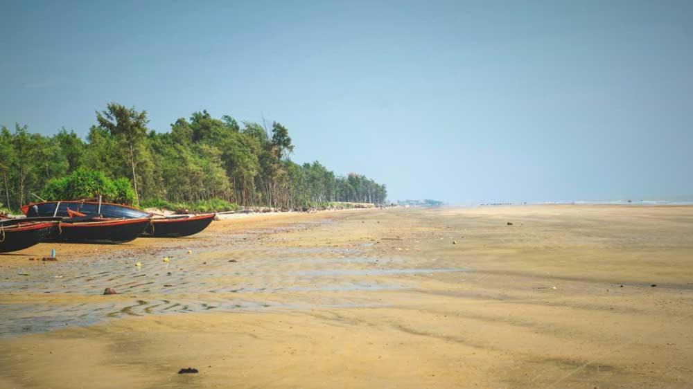 Photo of Others in Tajpur