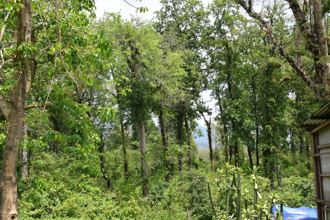 Photo of Others in Alipurduar