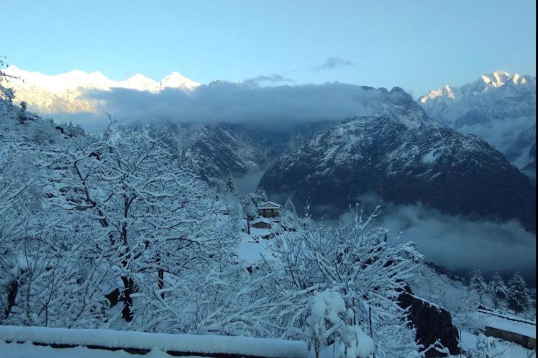 Photo of Others in Auli