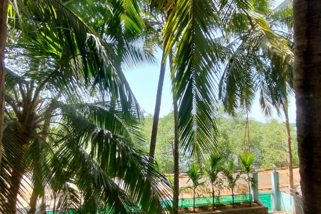 Photo of Others in Devgad