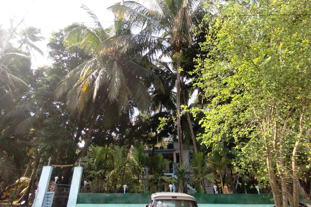 Photo of Others in Devgad