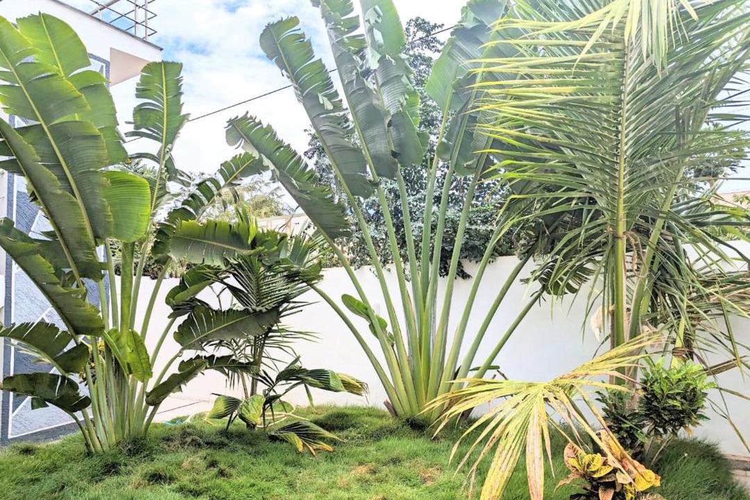 Photo of Patio Balcony in Tirupur
