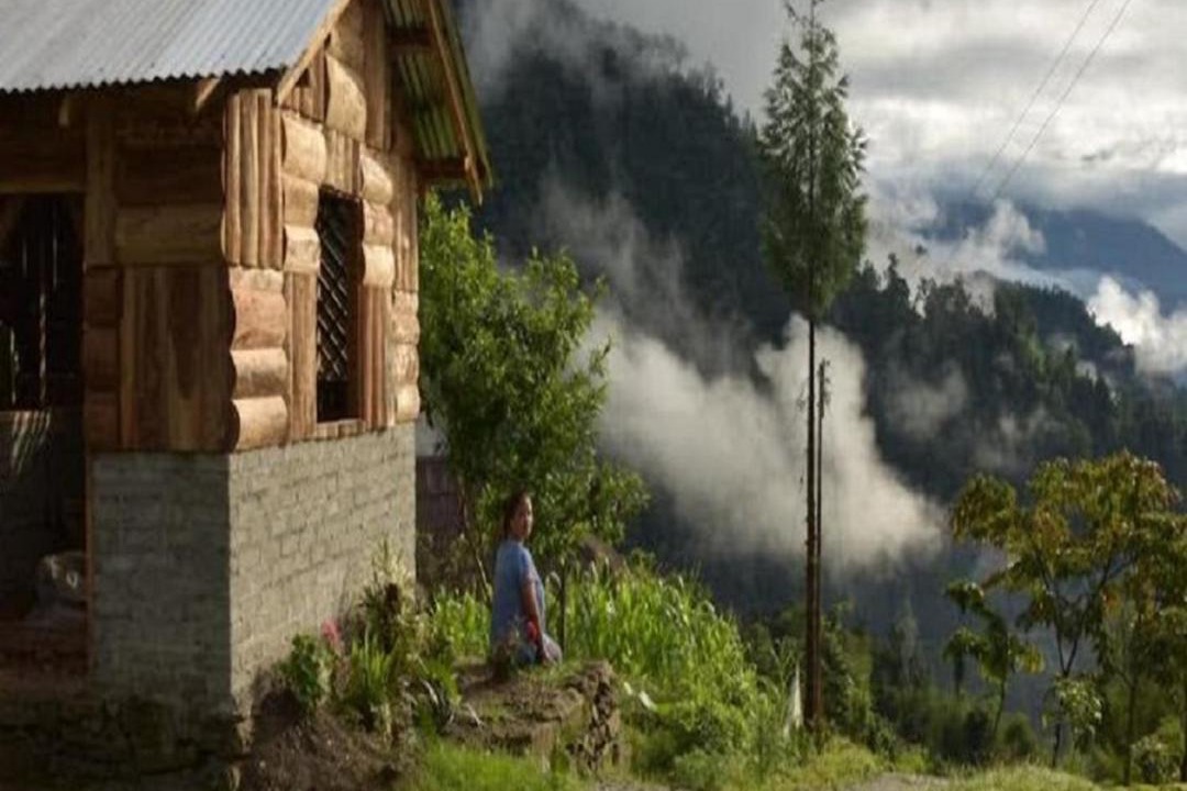Photo of Others in Kumai