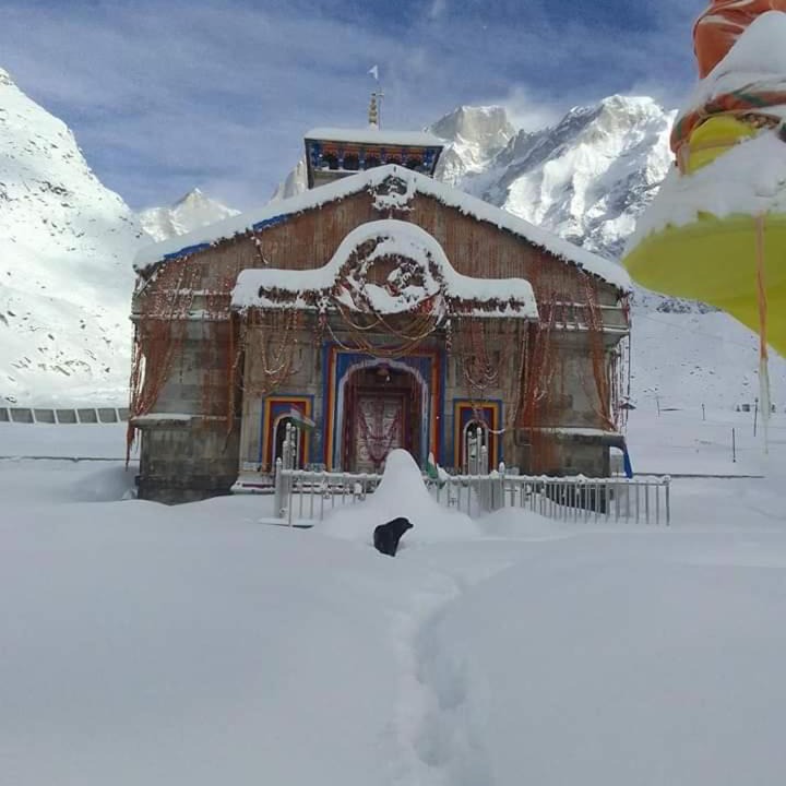 Photo of Others in Kedarnath
