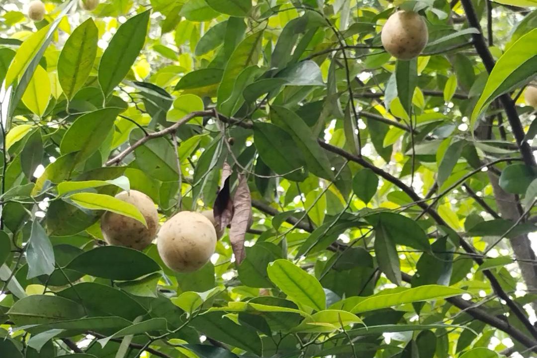 Photo of Outdoor in Pirmed