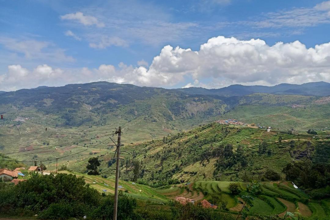 Photo of Others in Periyur