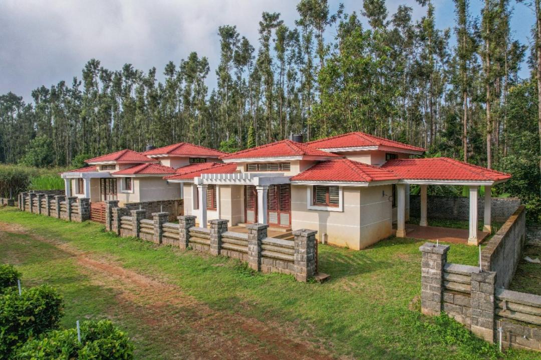 Photo of Buildings in Yercaud