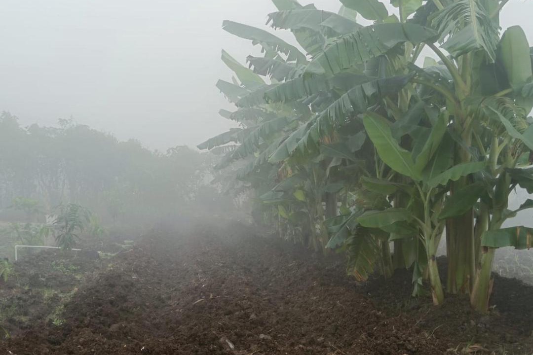Photo of Outdoor in Kagal