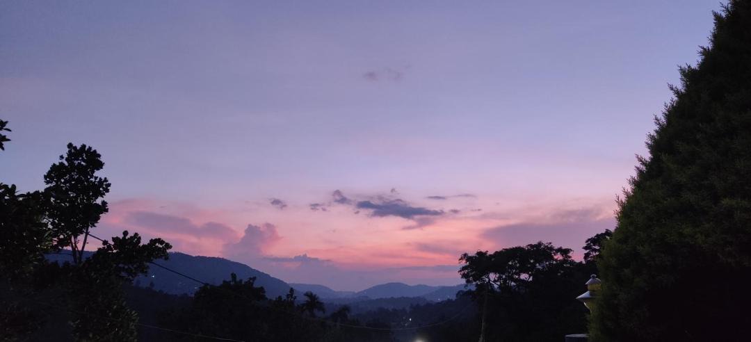 Photo of Outdoor in Udumbanchola