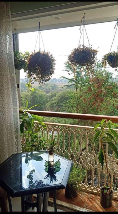 Photo of Patio Balcony in Pune