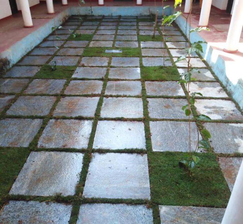 Photo of Others in Palakkad