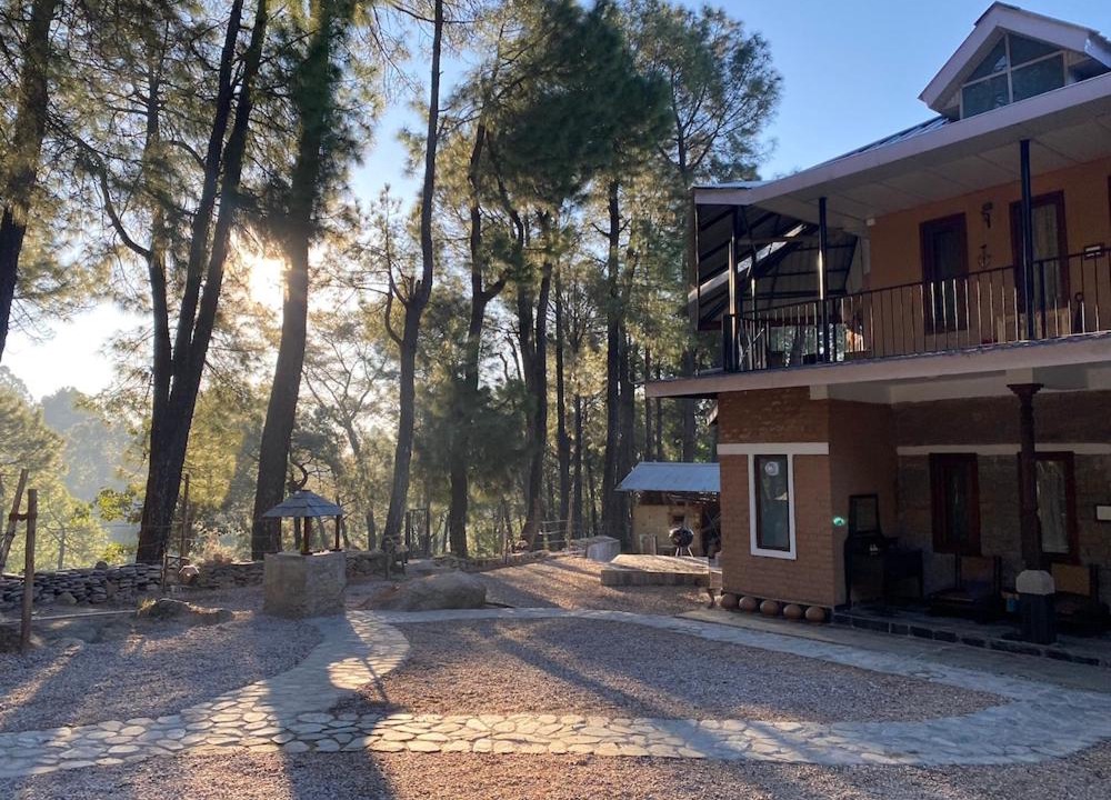 Photo of Others in Palampur