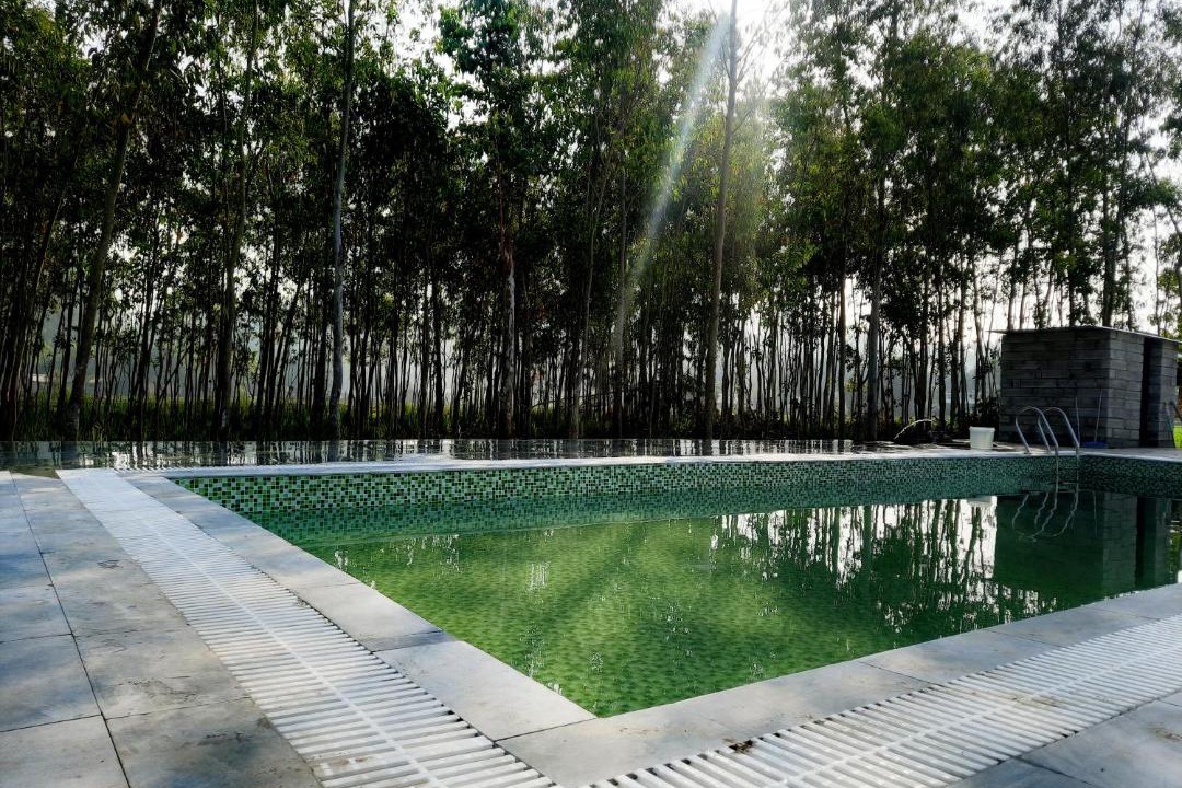 Photo of Outdoor in Dhela
