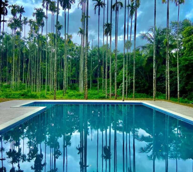 Photo of Outdoor in Ottapalam