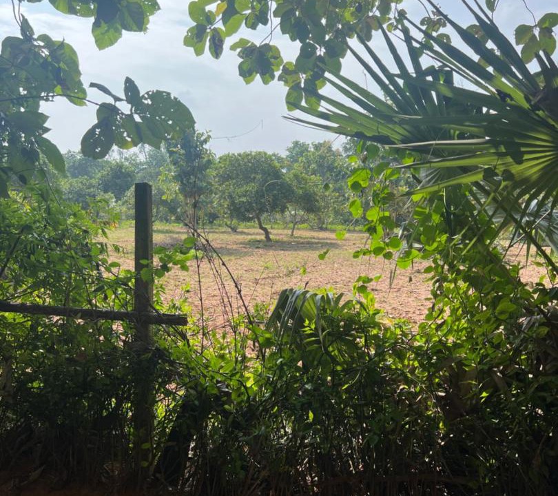 Photo of Outdoor in Bommayapalayam