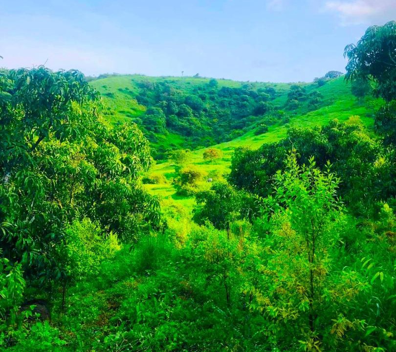 Photo of Outdoor in Kolhapur
