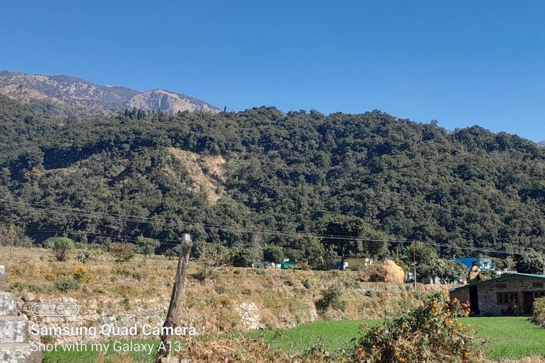 Photo of Outdoor in Jakh