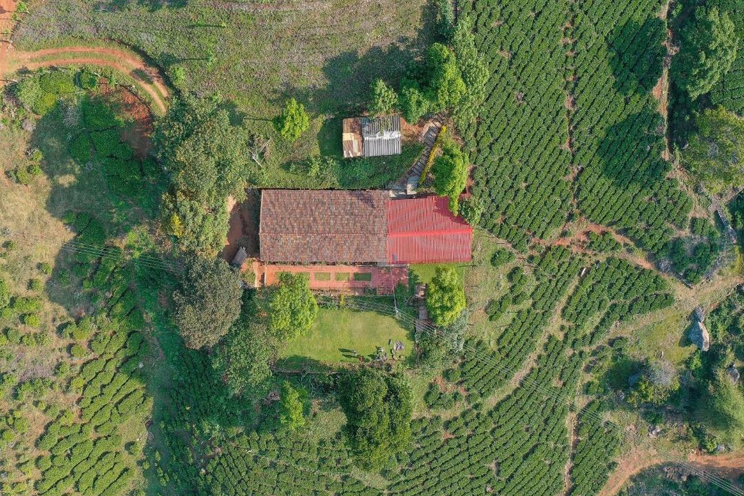 Photo of Outdoor in Coonoor