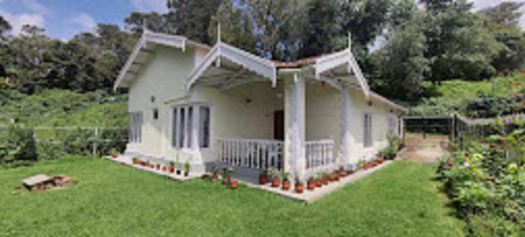 Photo of Buildings in Attadi
