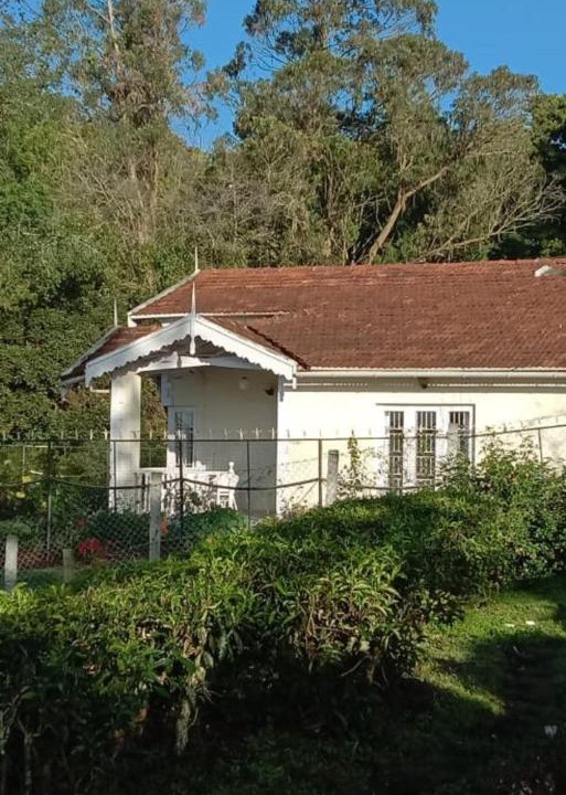 Photo of Buildings in Attadi