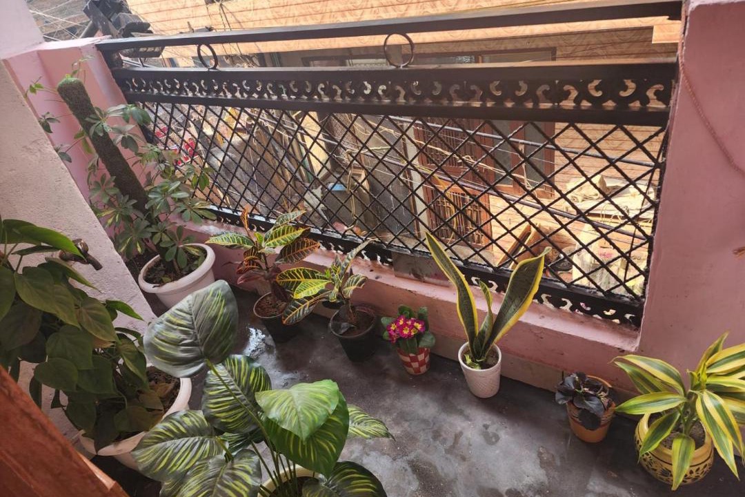 Photo of Patio Balcony in Dilshad Garden