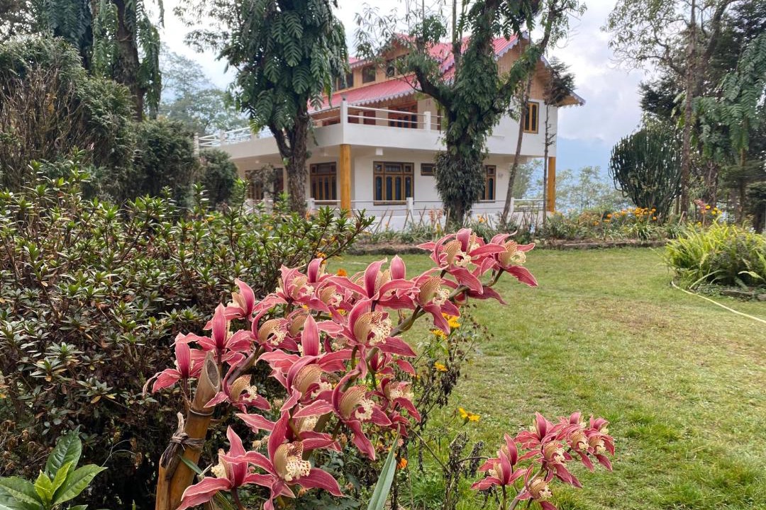 Photo of Buildings in Darjeeling