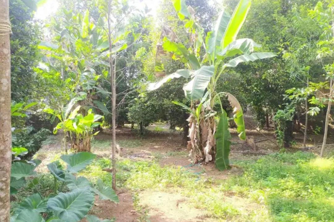 Photo of Outdoor in Bhubaneshwar