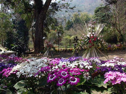 Photo of Outdoor in Sungava
