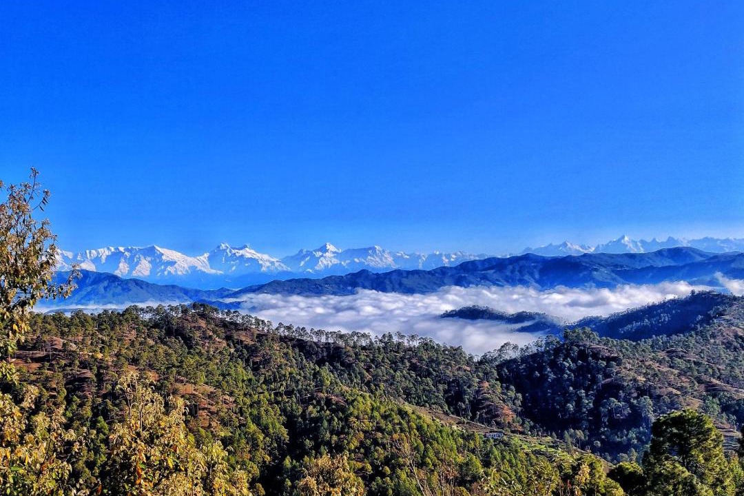Photo of Others in Almora