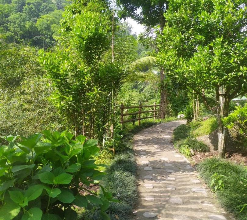 Photo of Others in Geyzing