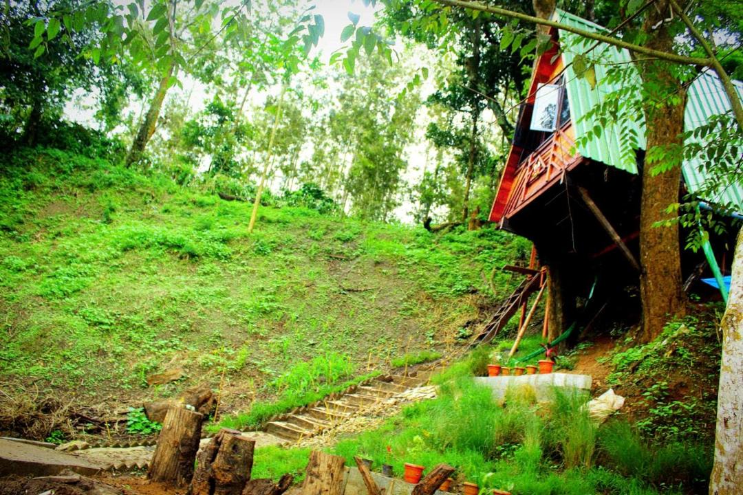Photo of Others in Virarajendrapet