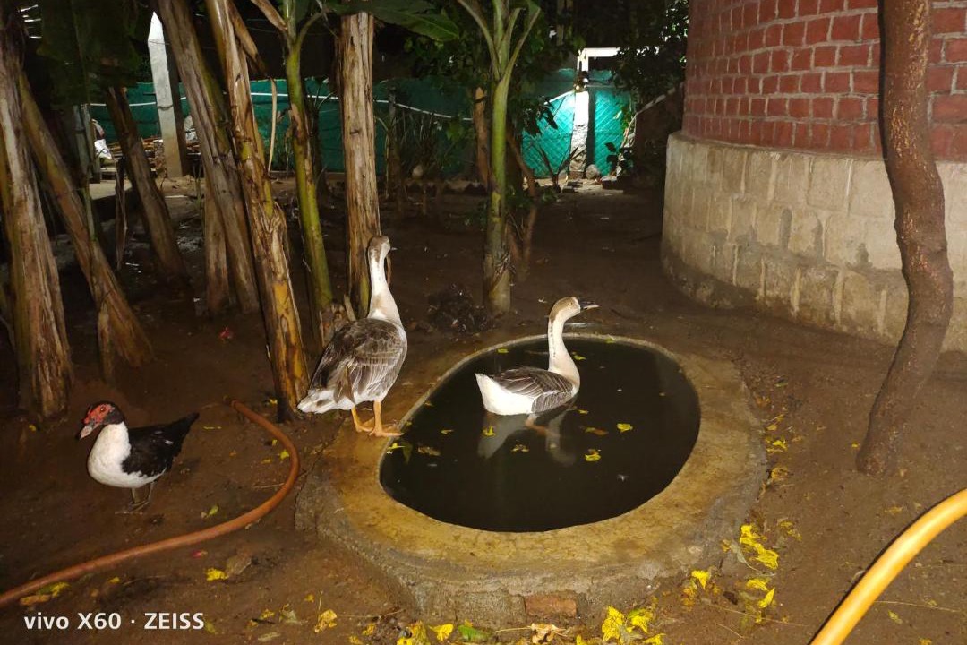 Photo of Others in Tiruvannamalai