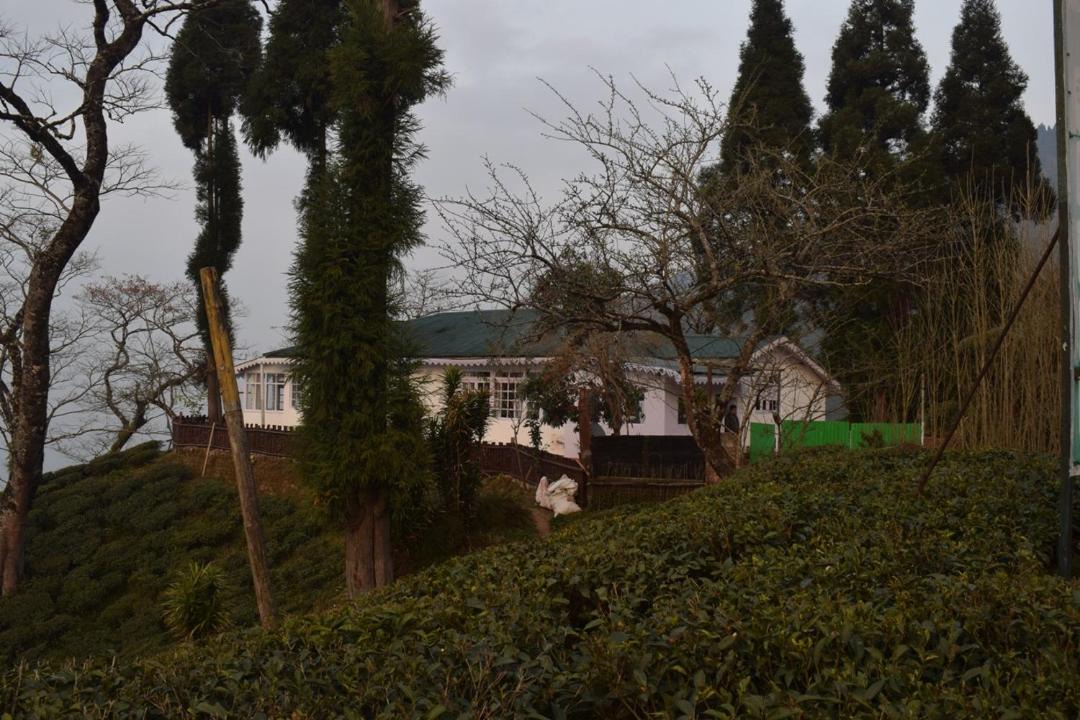 Photo of Others in Darjeeling