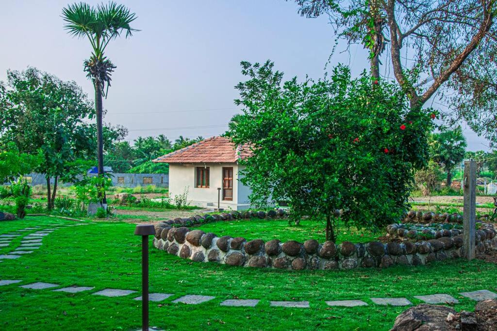 Photo of Buildings in Tiruvannamalai