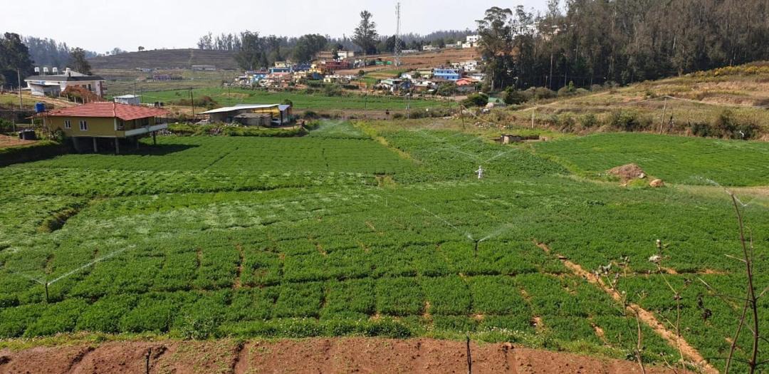 Photo of Others in Ooty