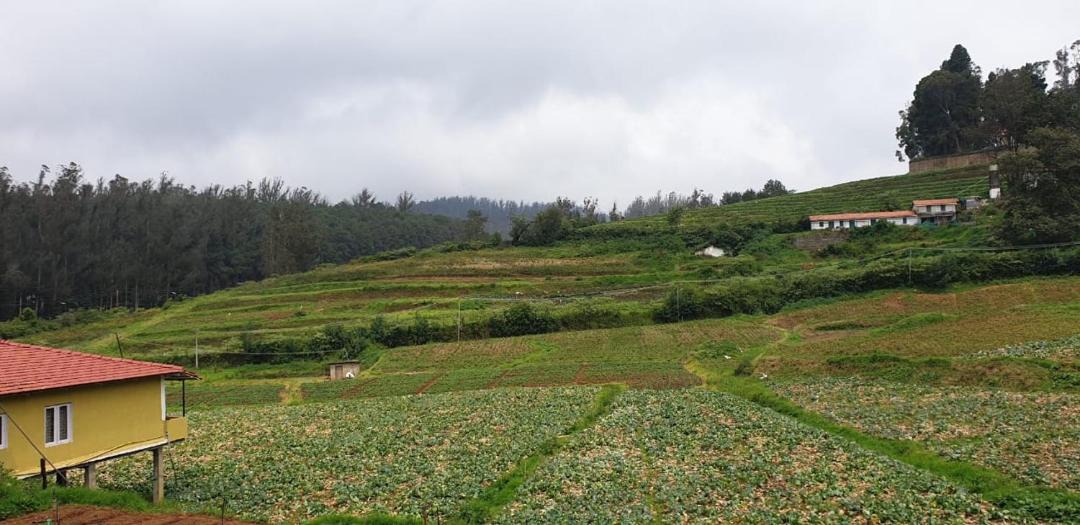 Photo of Others in Ooty