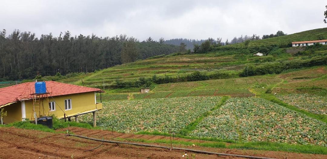 Photo of Buildings in Ooty