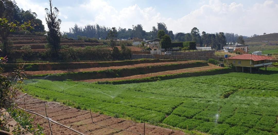 Photo of Others in Ooty