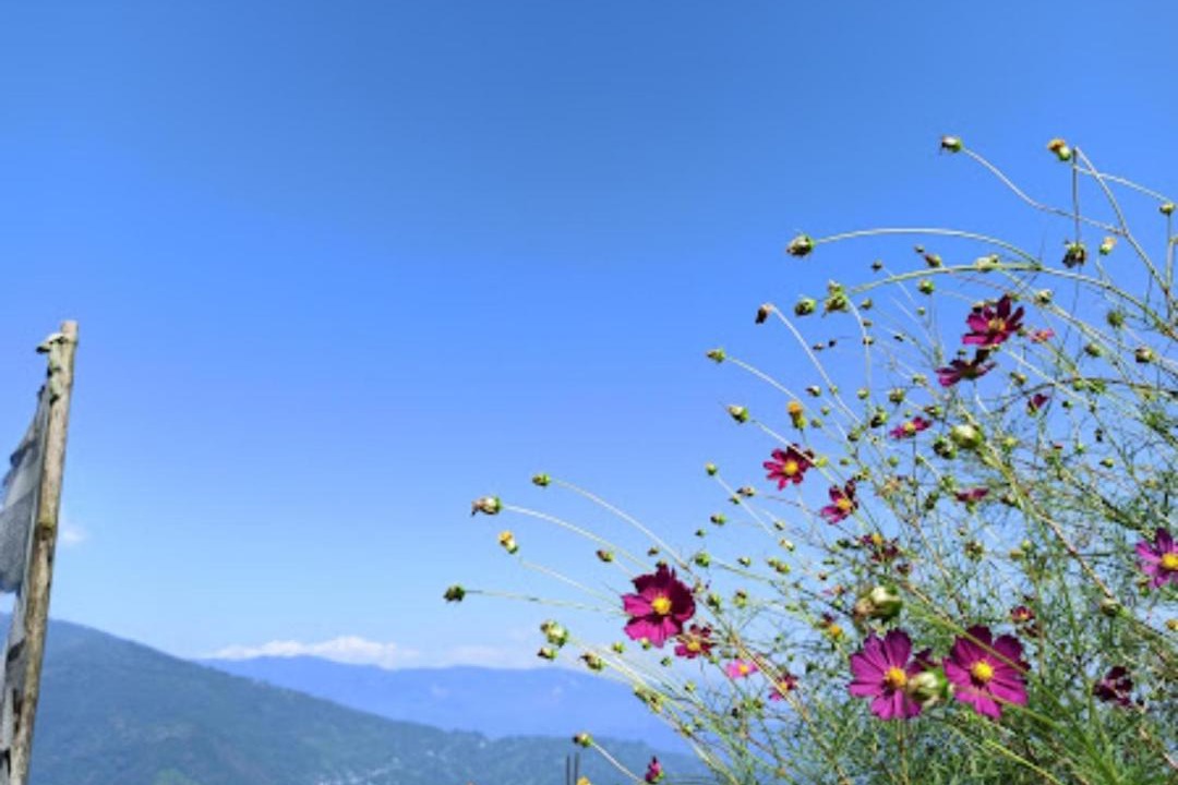 Photo of Outdoor in Kurseong