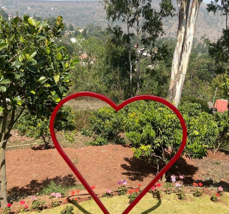 Photo of Others in Mahabaleshwar