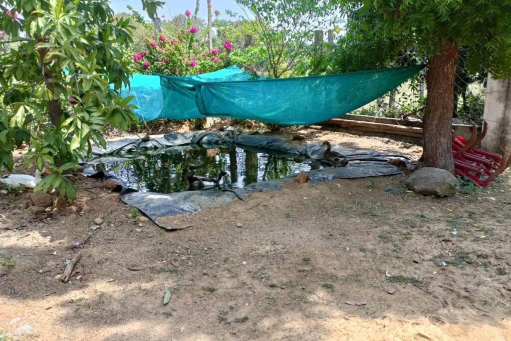 Photo of Outdoor in Cheyyur