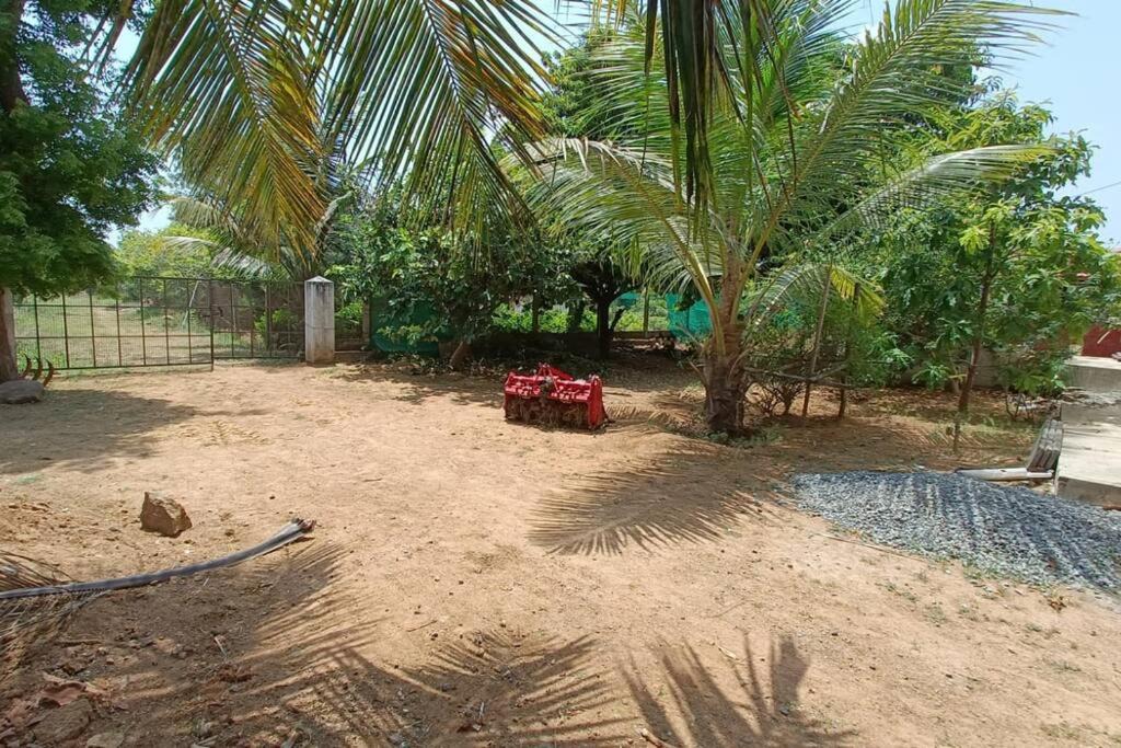 Photo of Outdoor in Cheyyur