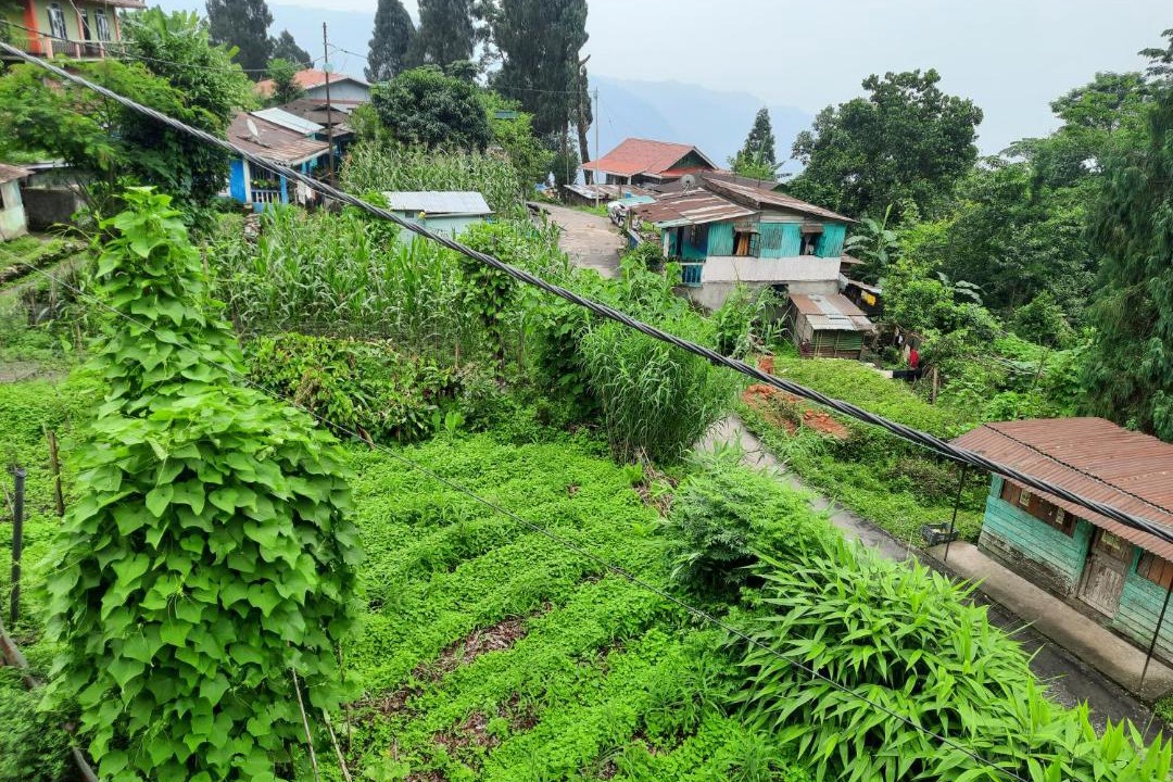 Photo of Buildings in Kurseong