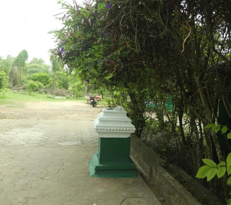 Photo of Others in Masinagudi