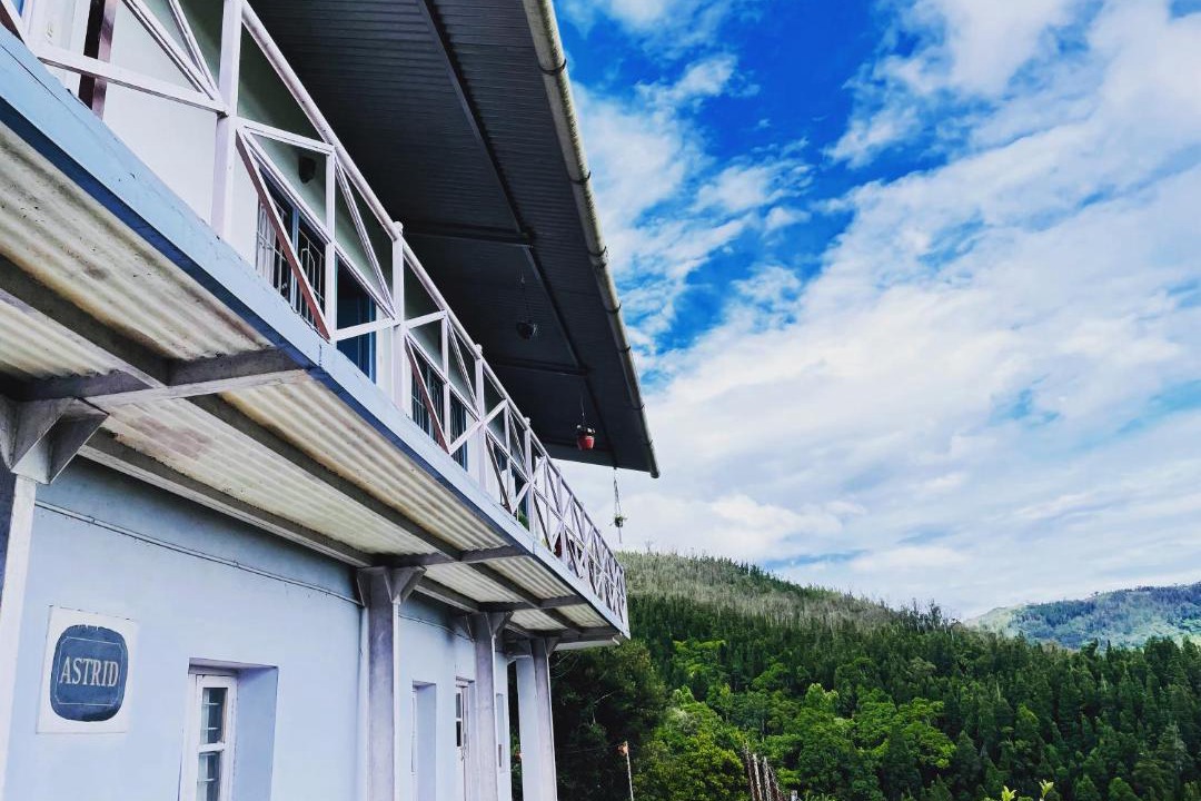 Photo of Buildings in Wellington