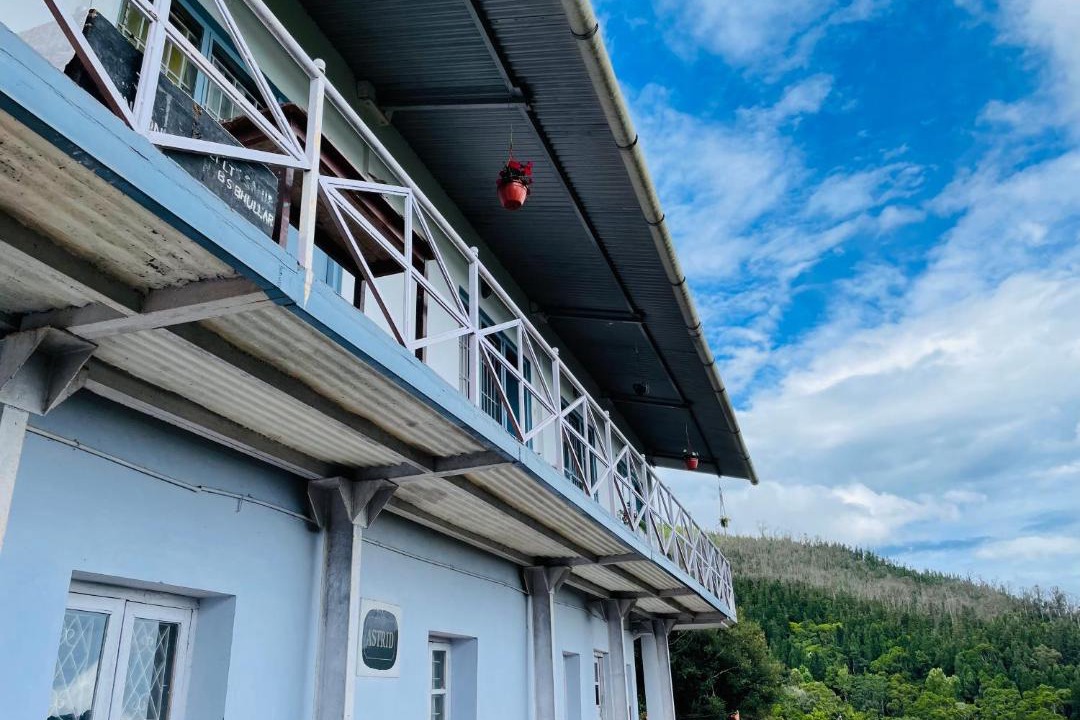 Photo of Buildings in Wellington