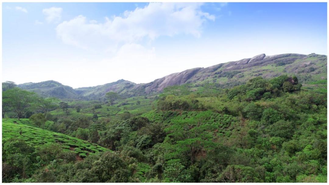 Photo of Others in Vagamon